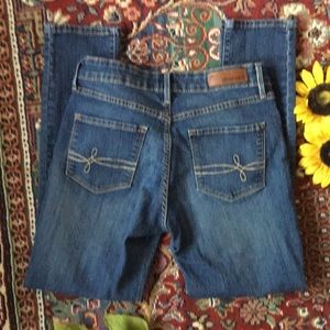 Denizen By Levi’s Modern Skinny Jean